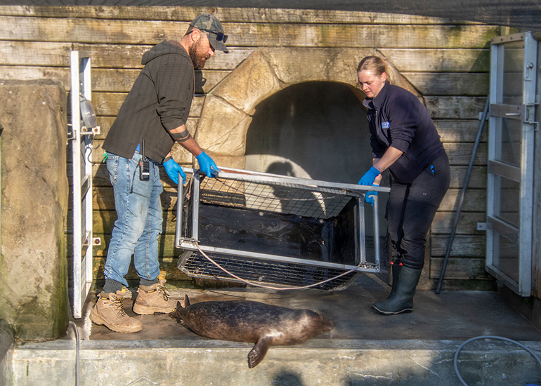 Seal Release - 28th April 2026