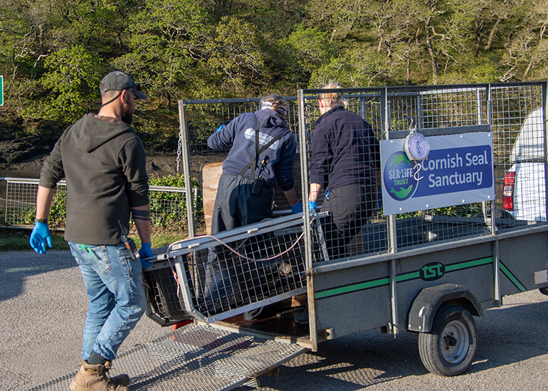 Seal Release - 28th April 2026