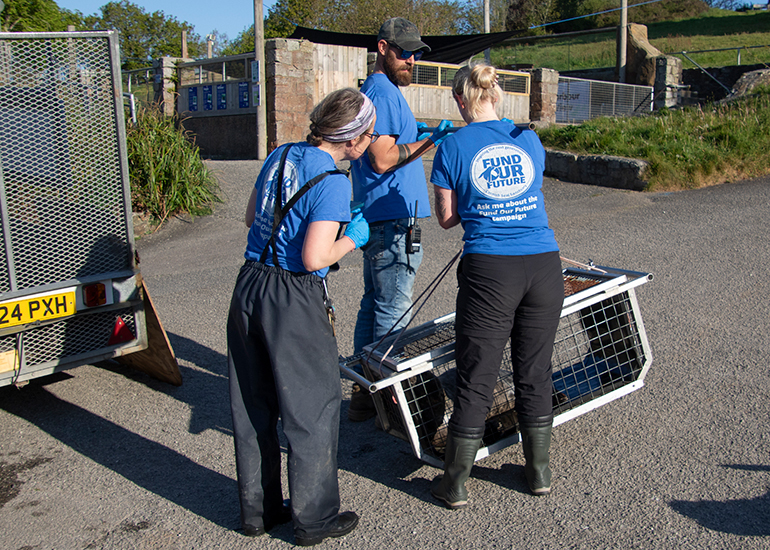 Seal Release - 28th April 2026