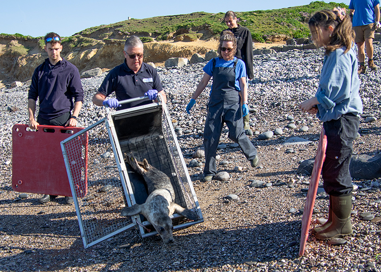 Seal Release - 30th April 2025