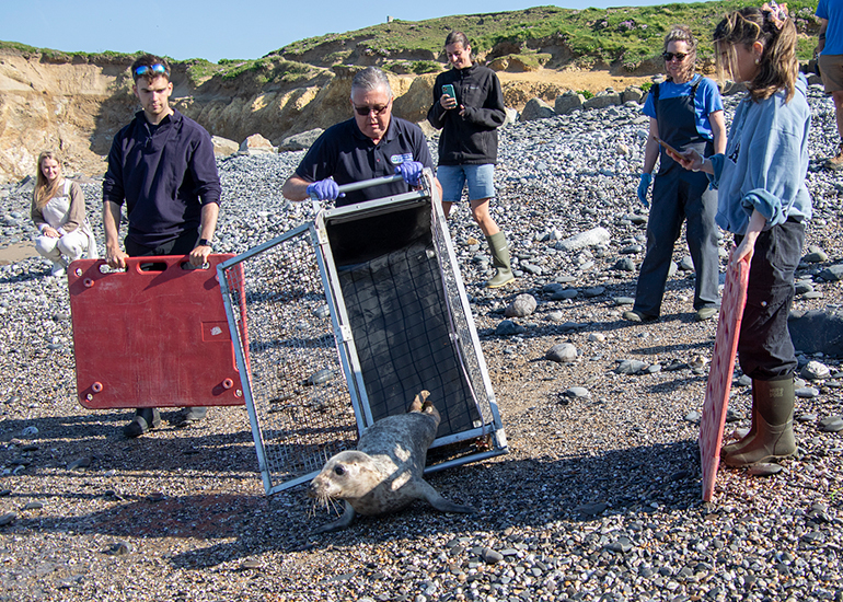 Seal Release - 30th April 2025