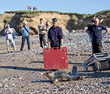 Seal Release - 30th April 2025