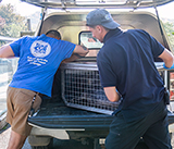 Seal Release - 30th April 2025