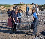 Seal Release - 30th April 2025