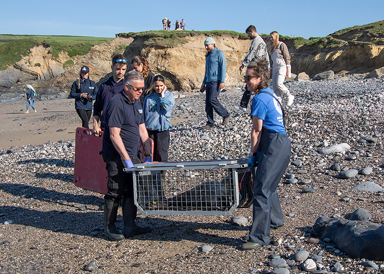 Seal Release - 30th April 2025