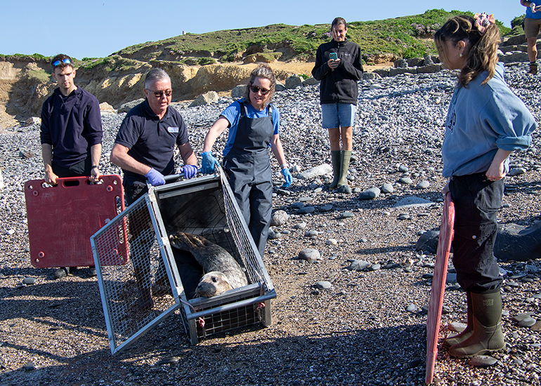Seal Release - 30th April 2025