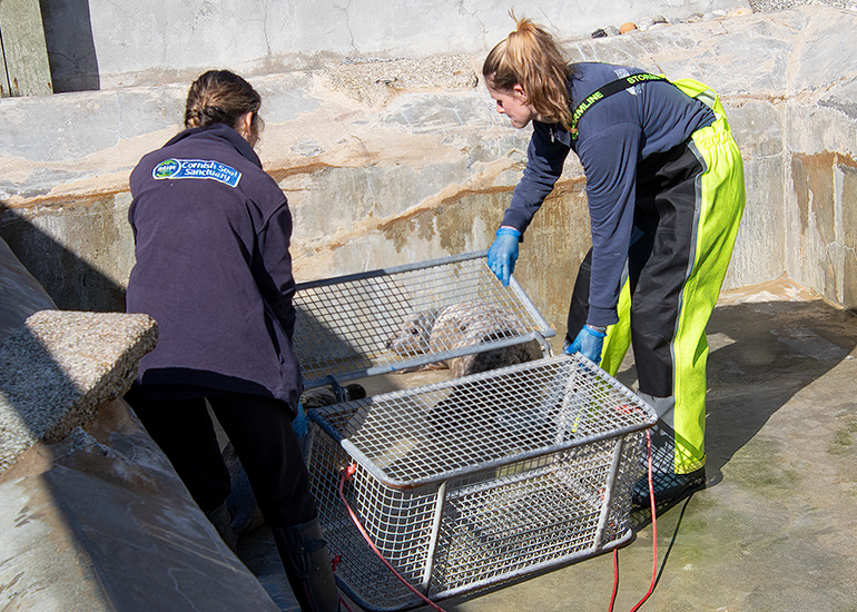 Seal Release - 31st March 2025