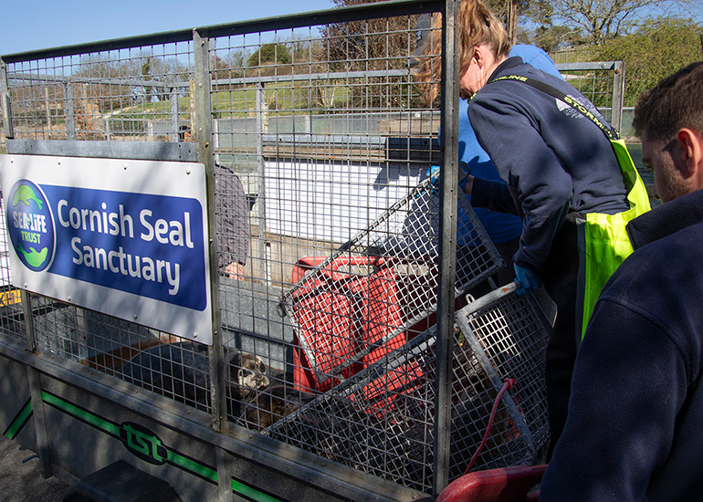 Seal Release - 31st March 2025