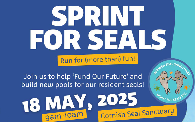 Sprint for Seals is BACK for 2025!