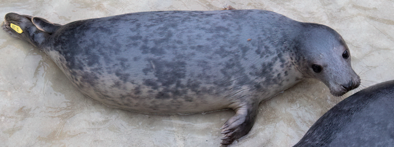 Sundae - 26th December 2025