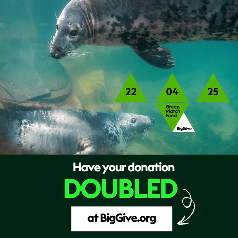 The Big Give Green Match Fund