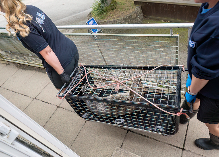 Tiramisu - 1st July 2026
