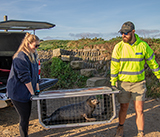 Seal Release - 24th September  2026