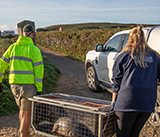 Seal Release - 24th September  2026