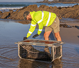 Seal Release - 24th September  2026