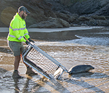 Seal Release - 24th September 2026