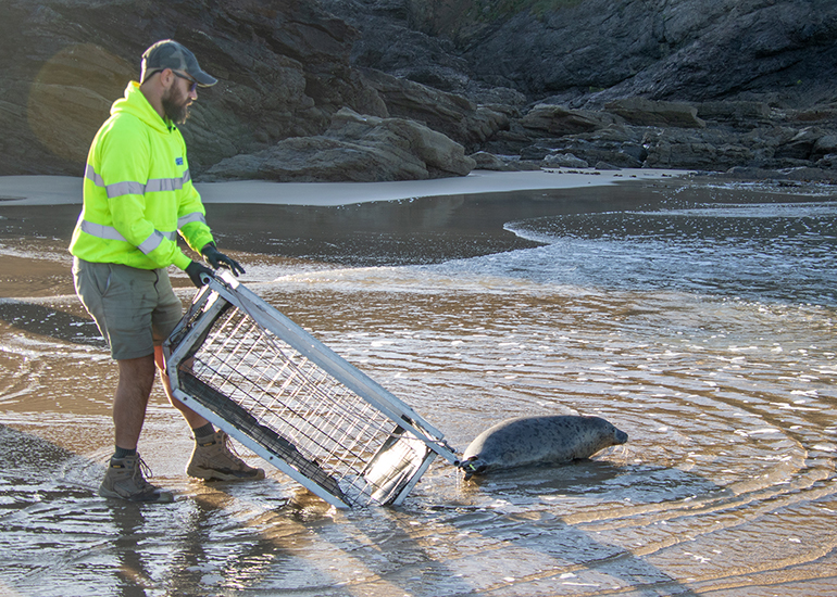 Tiramisu - 24th September 2026