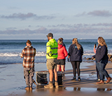 Seal Release - 24th September  2026