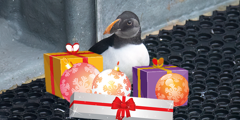 Unwanted Gifts