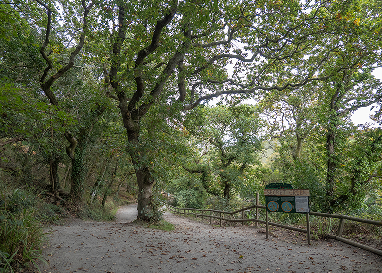 Woodlands Walk