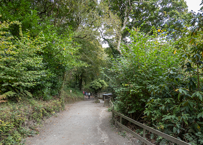 Woodlands Walk