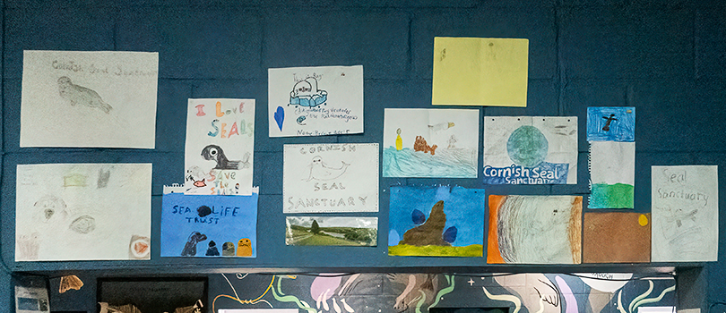 Young visitors pictures