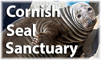 Cornish Seal Sanctuary