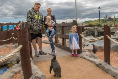 Penguin Island