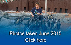 Scarborough Sea Life Sanctuary - June 2015