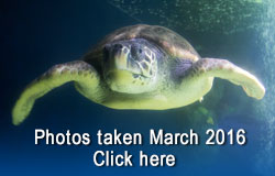 Scarborough Sea Life Sanctuary - March 2016