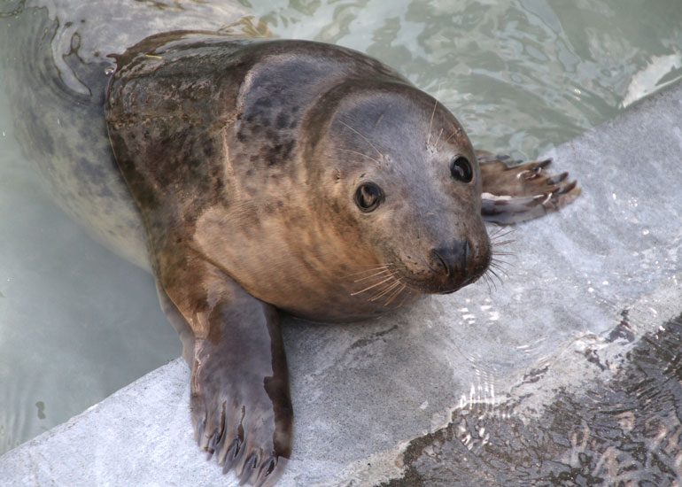Jasper - photo taken on 4th April 2012