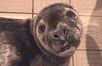 Josh stayed overnight at Sue Sayer's house in the shower room - Photo was taken by Sue Sayer on 16-01-2006