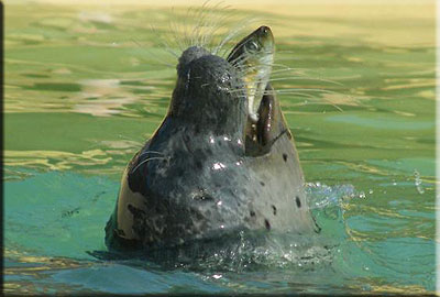 This photo was taken by Julie and Dave from Belper in Derbyshire during their visit in September 2008