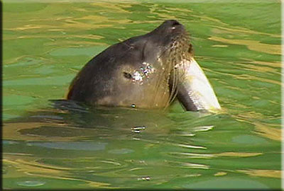 This photo was taken by Julie and Dave from Belper in Derbyshire during their visit in September 2008