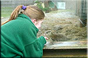 Lucky, looks through the glass at one of our staff