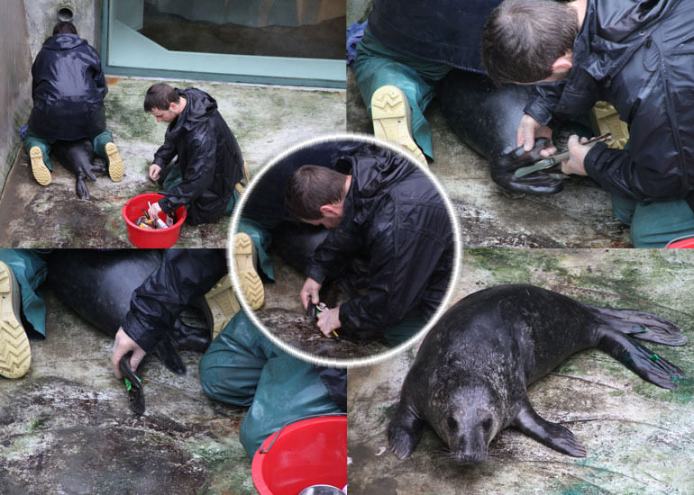 Photo of Louis Theroux taken on 30th December 2011