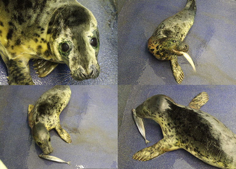 Photos of Mary King taken on 28th December 2011