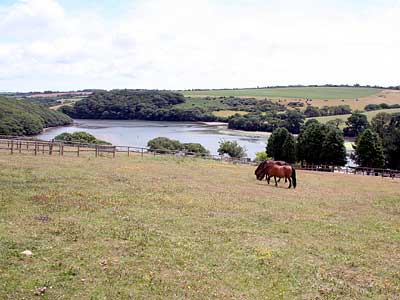 The view down into the Helford river