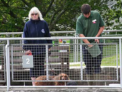 Joyce, Website Editor, watching as Matt, one of our volunteers, feeds the seal pups