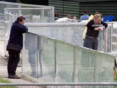 Karl, Teya and Jo watching Sahara (hooded seal) in the common seal pool