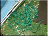This was the net