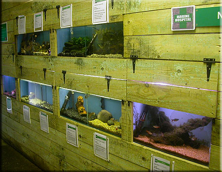 Nursery section of The Marine Hospital