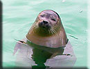 News Update - October/November 2009