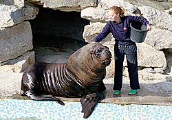 Nikki with Carus