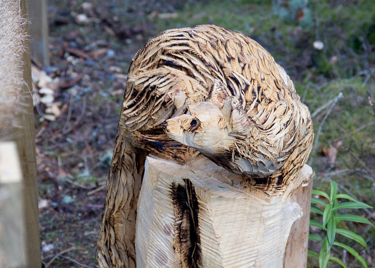 Nutkins Nature Trail