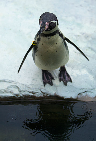 Photo copyright of Neil Wilkinson