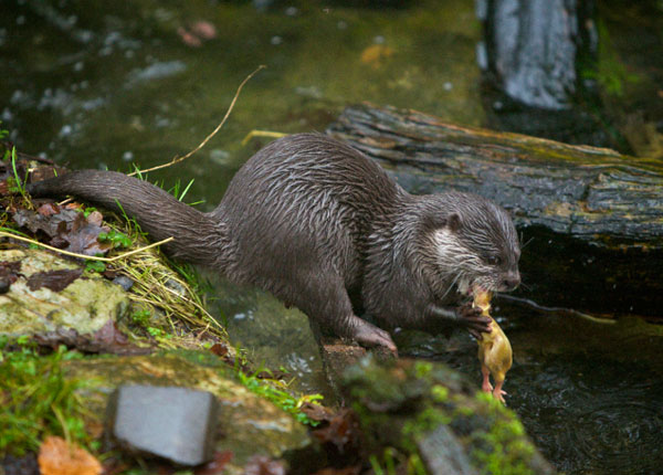 Photo copyright of Neil Wilkinson
