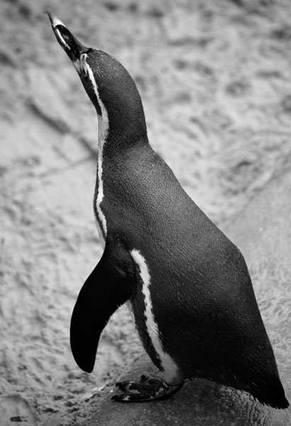 Photo copyright of Neil Wilkinson