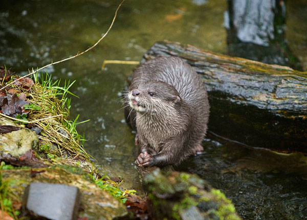 Photo copyright of Neil Wilkinson