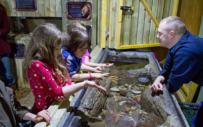 Interactive Touchpool